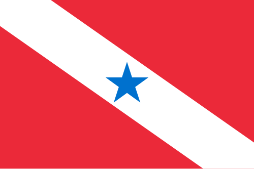 Bandeira do estado de Pará