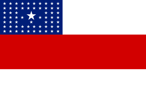Bandeira do estado de Amazonas