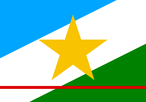 Bandeira do estado de Roraima